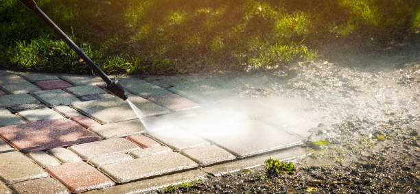 Best Sidewalk and Walkway Cleaning  in Lyons, CO